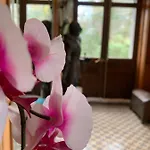 La Demoiselle Des Roches 게스트하우스