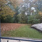 Gasthof La Demoiselle Des Roches 3*