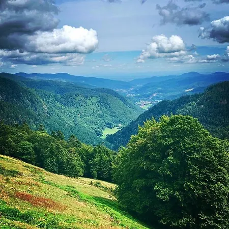 Maison d'hôtes La Demoiselle Des Roches 3*