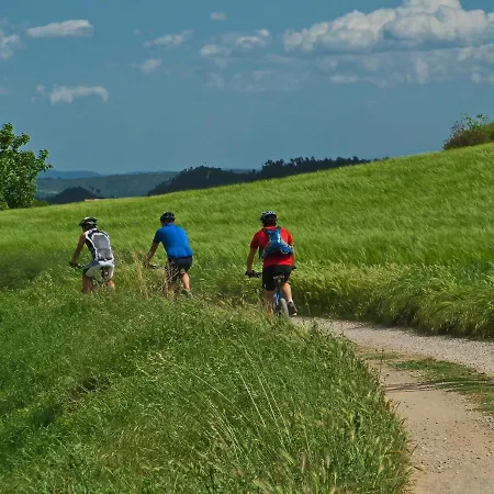 Maison d'hôtes La Demoiselle Des Roches 3*