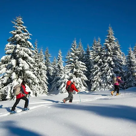 La Demoiselle Des Roches Maison d'hôtes 3*