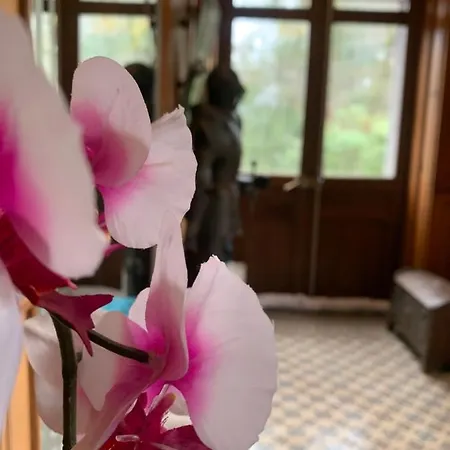 La Demoiselle Des Roches Maison d'hôtes