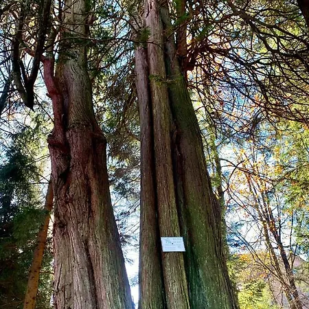 Maison d'hôtes La Demoiselle Des Roches 3*