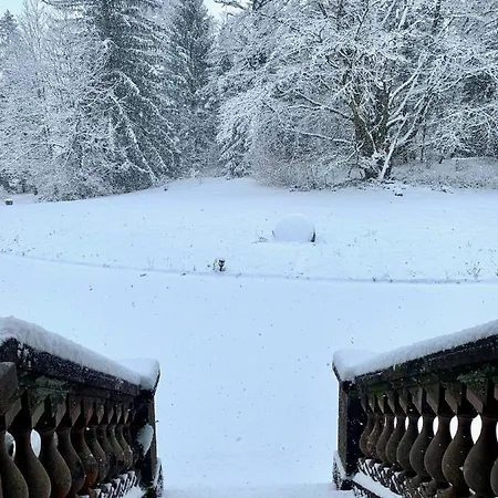 La Demoiselle Des Roches