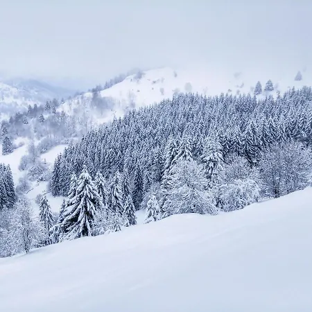 La Demoiselle Des Roches Ramonchamp