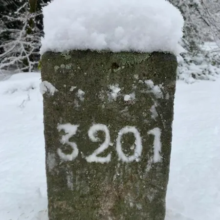 La Demoiselle Des Roches