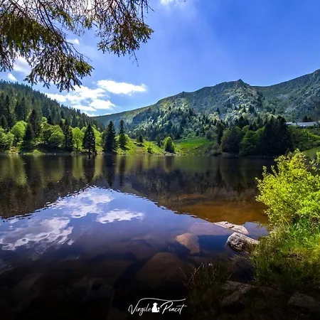 La Demoiselle Des Roches