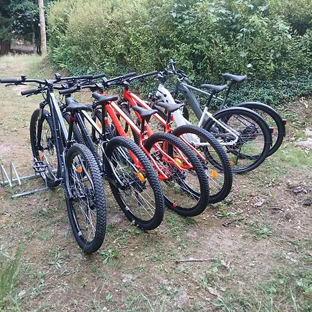 La Demoiselle Des Roches Ramonchamp