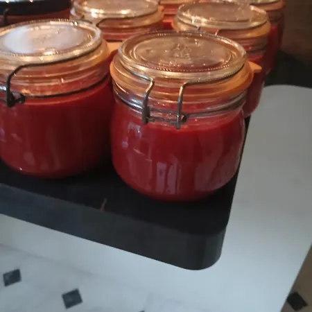 La Demoiselle Des Roches Maison d'hôtes