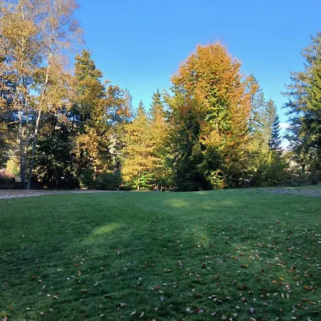 La Demoiselle Des Roches 3* Ramonchamp