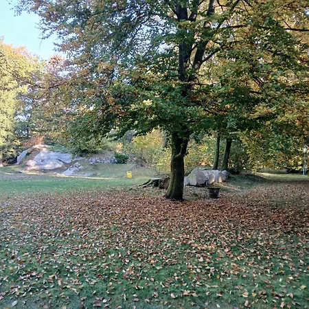 Maison d'hôtes La Demoiselle Des Roches