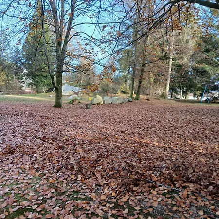 La Demoiselle Des Roches Maison d'hôtes Ramonchamp