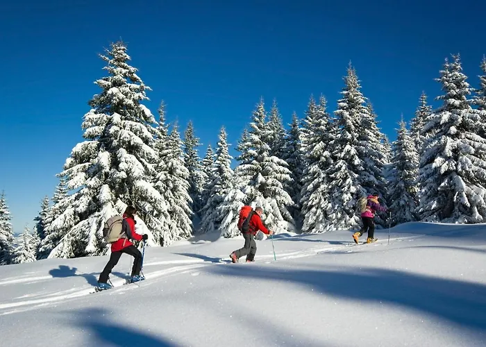 La Demoiselle Des Roches Penzion 3*