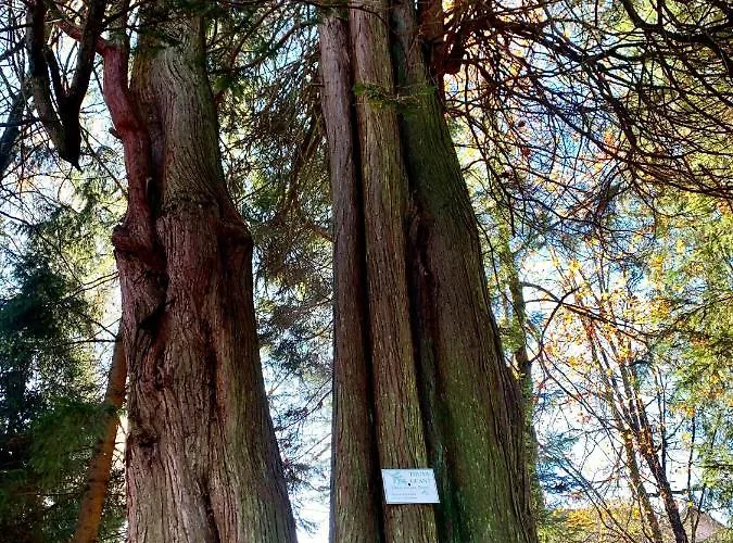 招待所 La Demoiselle Des Roches 3*