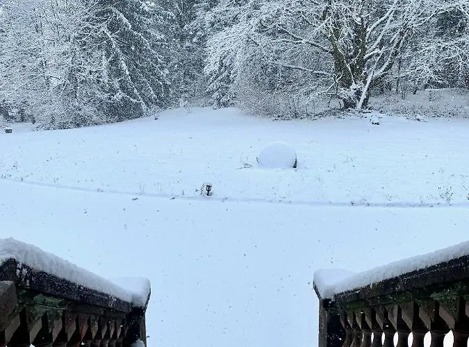 La Demoiselle Des Roches