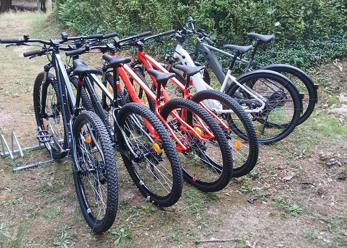 La Demoiselle Des Roches Ramonchamp