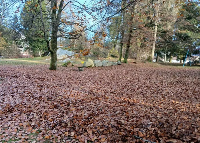 La Demoiselle Des Roches 招待所 Ramonchamp